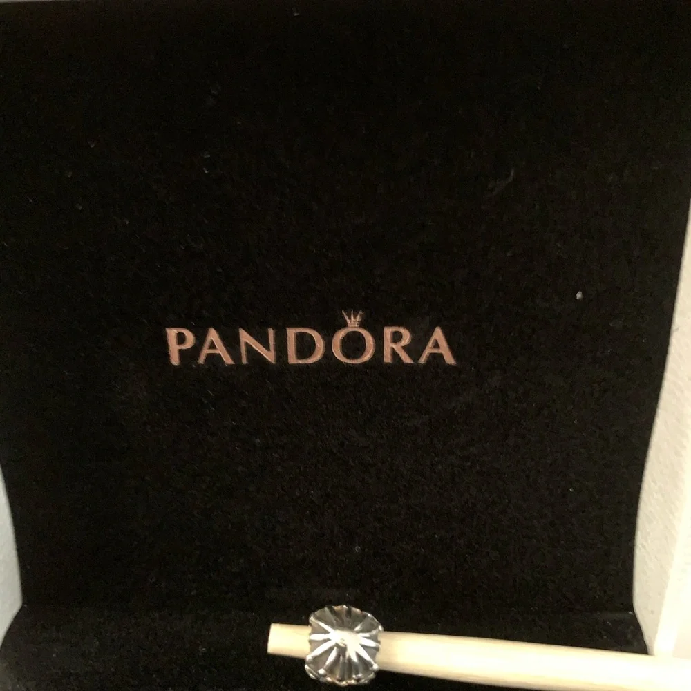 Authentic PANDORA Love and Hugs Charm Bead
